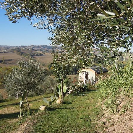 La Luna Nell'Orto-Casa Vacanza Ecologica E Agricoltura Biodinamica Barchi Eksteriør billede