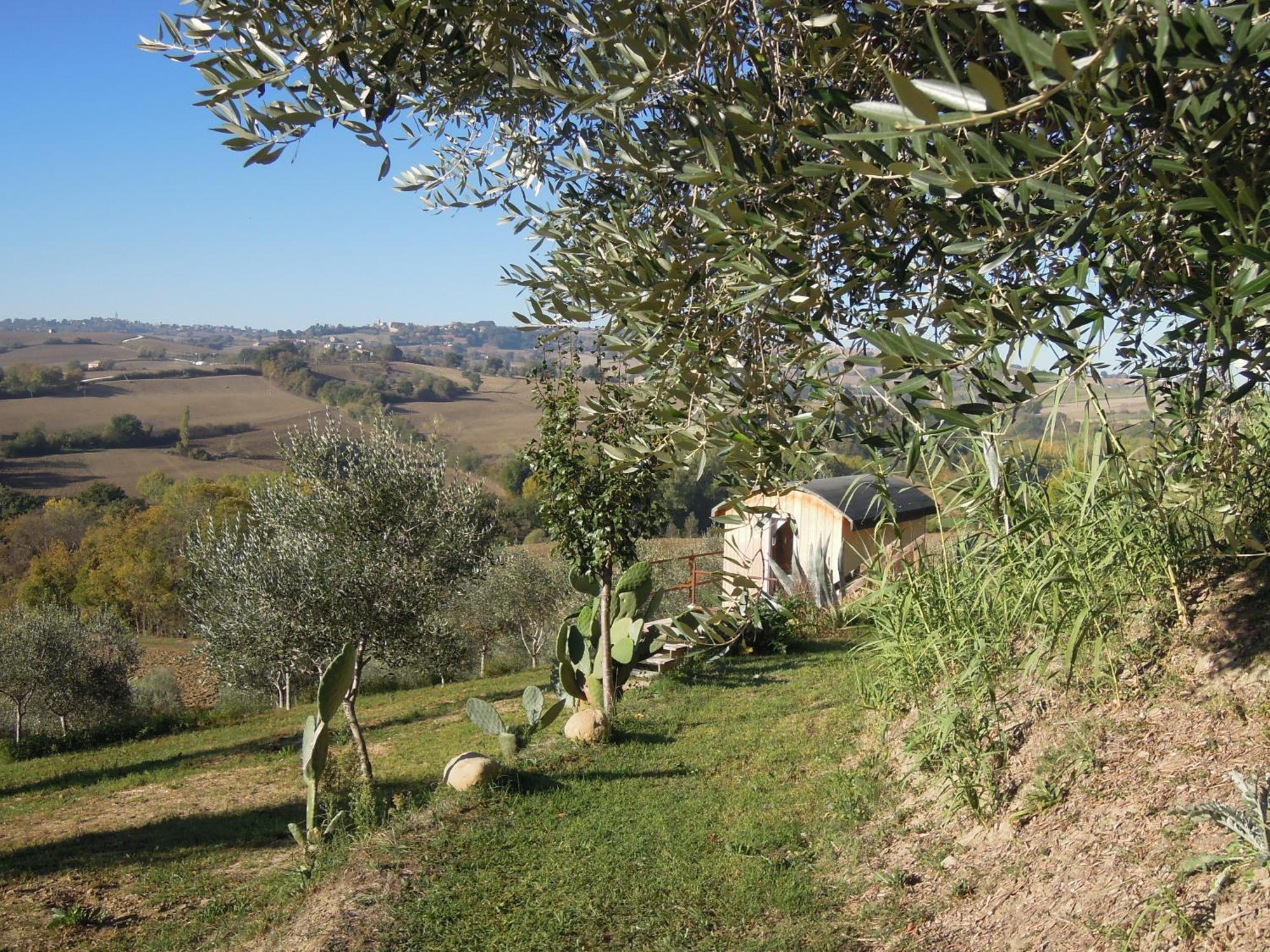 La Luna Nell'Orto-Casa Vacanza Ecologica E Agricoltura Biodinamica Barchi Eksteriør billede