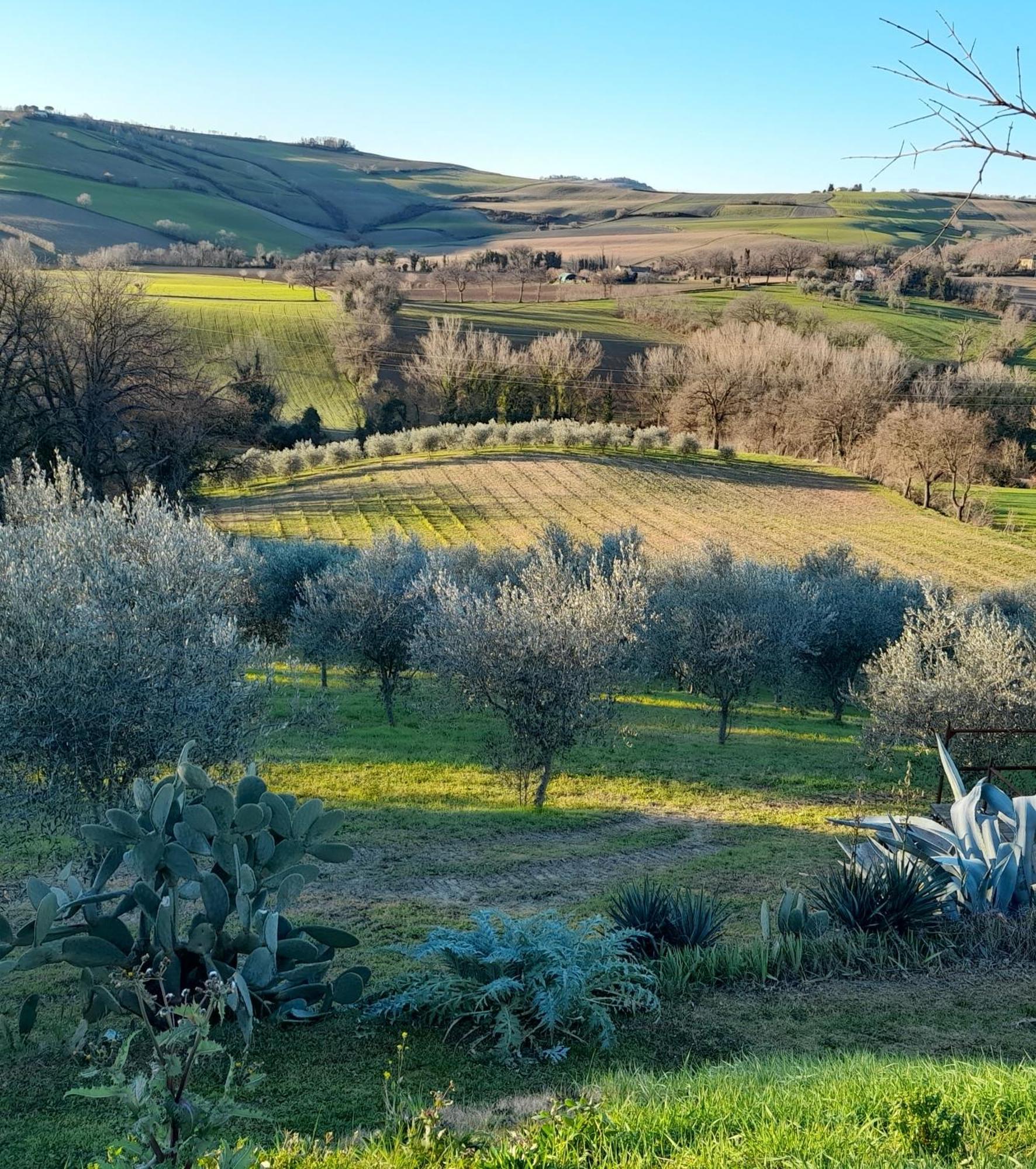 La Luna Nell'Orto-Casa Vacanza Ecologica E Agricoltura Biodinamica Barchi Eksteriør billede